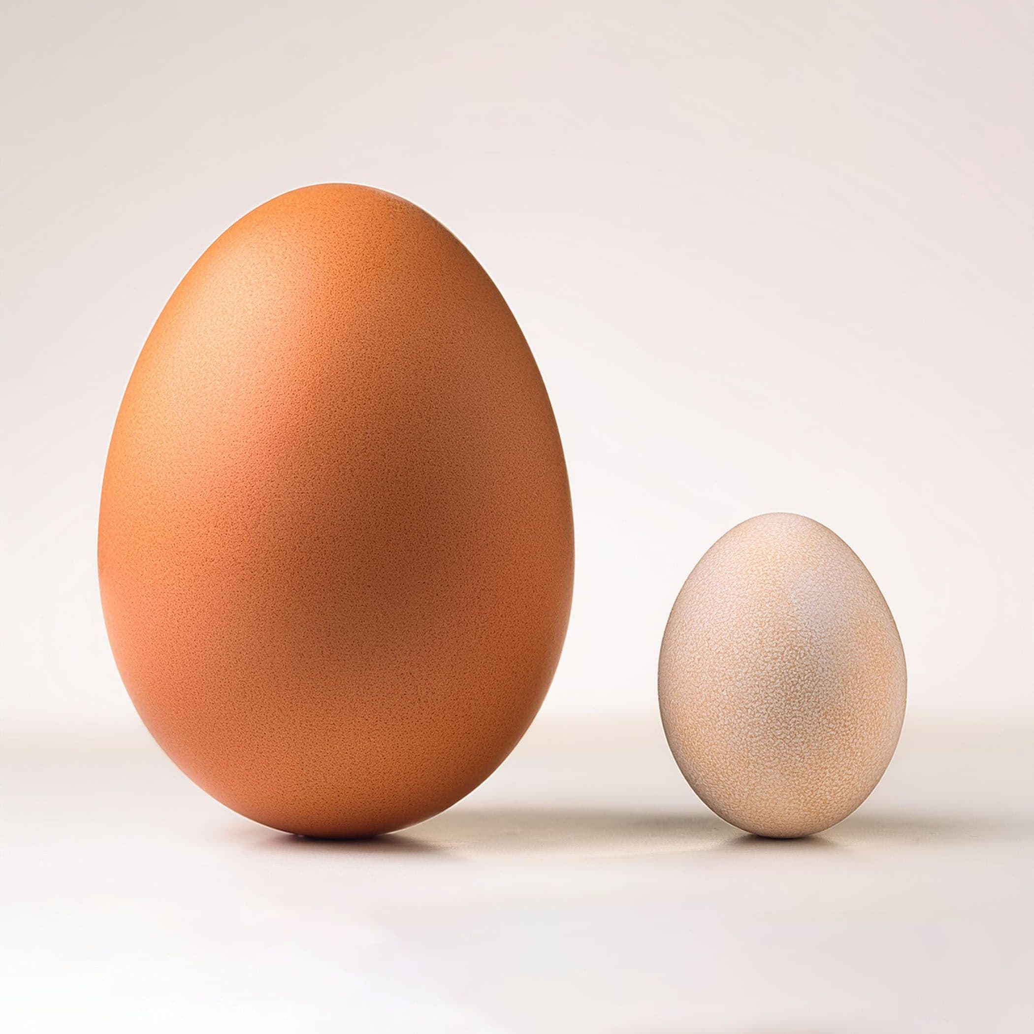 How Long Does It Take HCG to Reverse Testicular Atrophy?