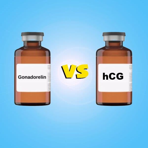 Gonadorelin vs HCG: Understanding Their Roles in Hormone Therapy